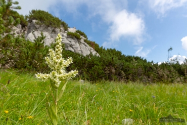 Fotoreise Berchtesgadener Land