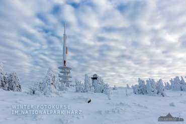 Winter-Fotokurse und Fotoreisen im Harz 2019