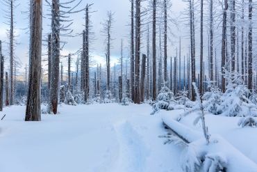 Fotowanderung zum Sonnenuntergang auf den Achtermann