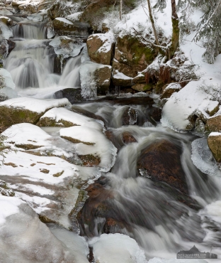 Winter-Fotokurs Landschaftsfotografie im Harz mit dem NDR