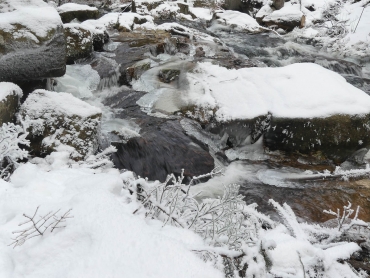 Winter-Fotokurs Landschaftsfotografie im Harz mit dem NDR © Anke B. -Harz7