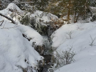 Winter-Fotokurs Landschaftsfotografie im Harz mit dem NDR © Anke B. -Harz7