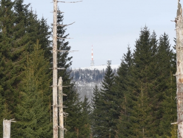 Winter-Fotokurs Landschaftsfotografie im Harz mit dem NDR © Anke B. -Harz7