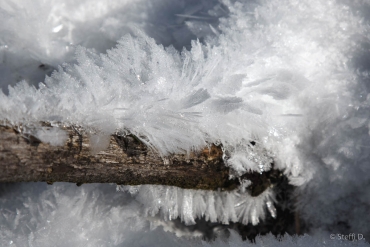 Winter-Fotowanderung im Oberharz