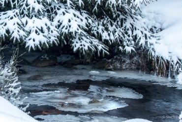 Winter-Fotowanderung im Oberharz