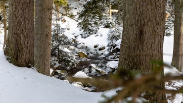 Winter-Fotokurs Landschaftsfotografie im Harz mit dem NDR