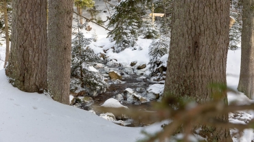 Winter-Fotokurs Landschaftsfotografie im Harz mit dem NDR