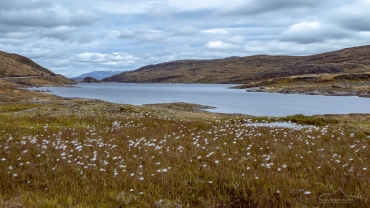 Fotoreise Norwegen - Skjelingavatnet