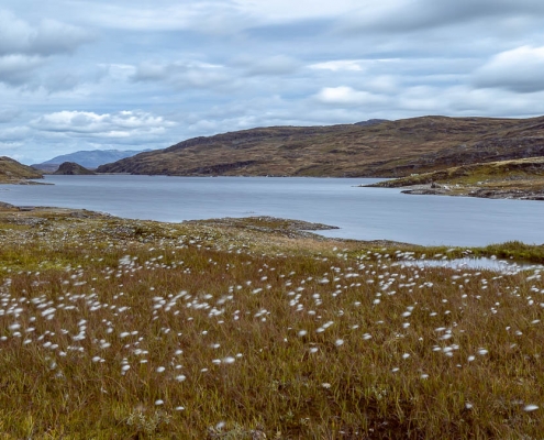 Fotoreise Norwegen - Skjelingavatnet