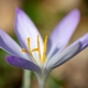 Frühling im Südharz