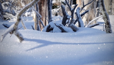 Winter-Fotowanderung im Oberharz