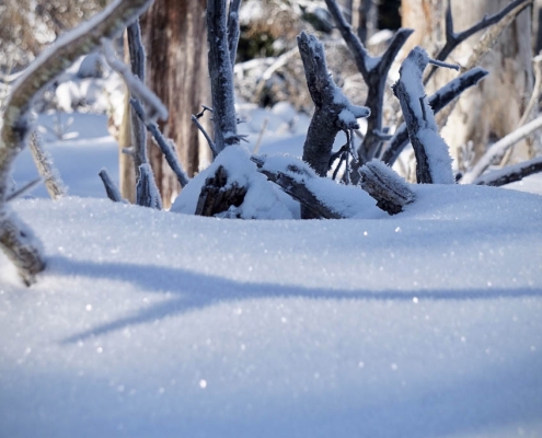 Winter-Fotowanderung im Oberharz