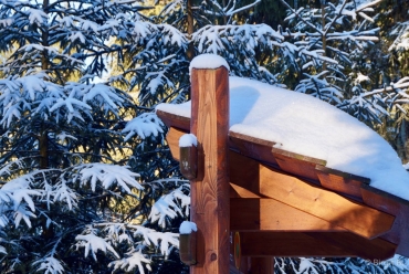 Winter-Fotowanderung im Oberharz