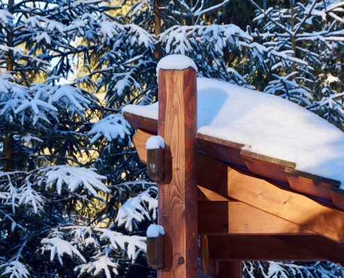 Winter-Fotowanderung im Oberharz