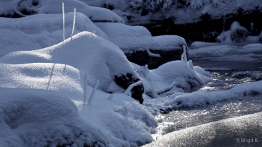 Winter-Fotowanderung im Oberharz