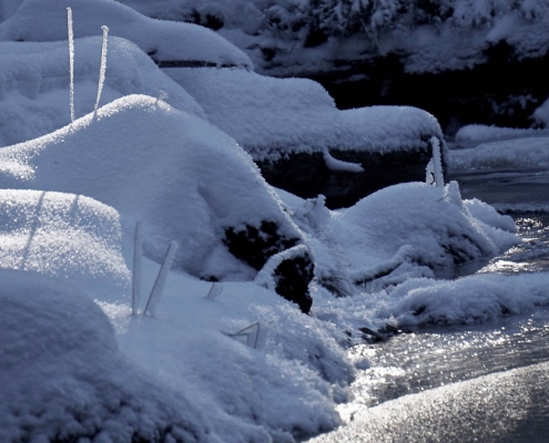 Winter-Fotowanderung im Oberharz