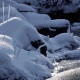 Winter-Fotowanderung im Oberharz