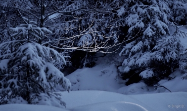 Winter-Fotowanderung im Oberharz