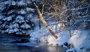 Winter-Fotowanderung im Oberharz
