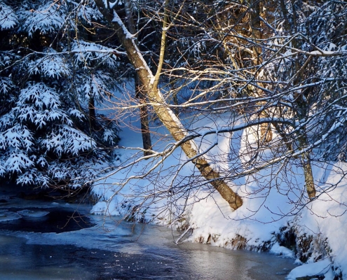 Winter-Fotowanderung im Oberharz