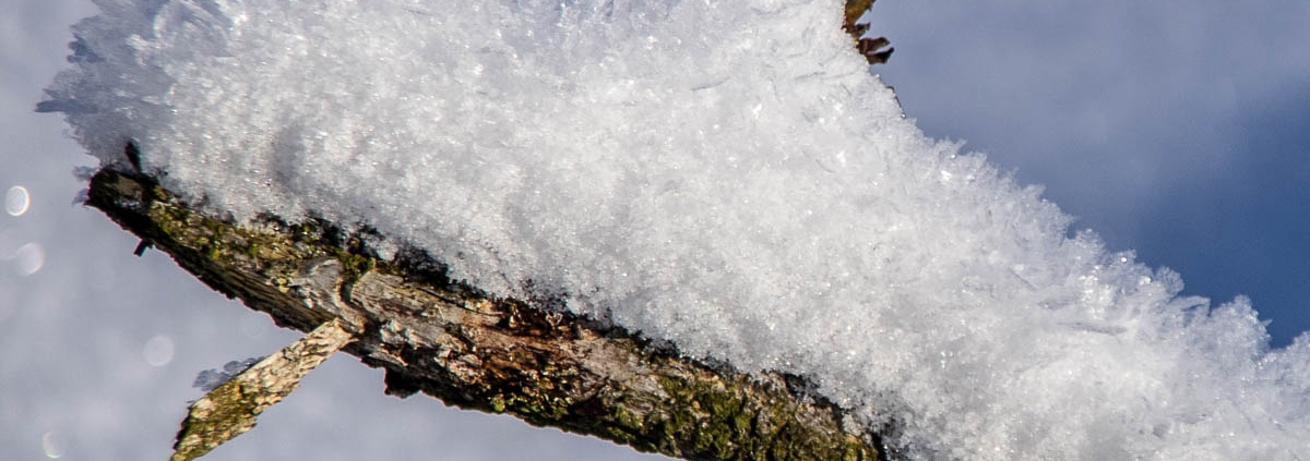 Winter-Fotowanderung im Oberharz