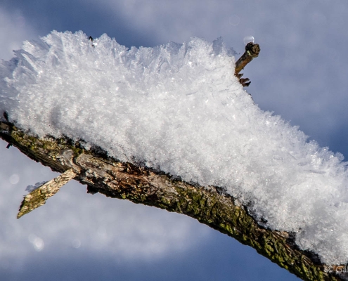 Winter-Fotowanderung im Oberharz