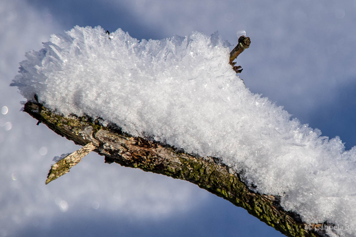 Winter-Fotowanderung im Oberharz