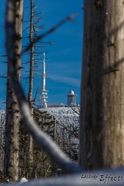 Winter-Fotowanderung im Oberharz