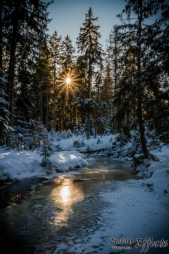 Winter-Fotowanderung im Oberharz