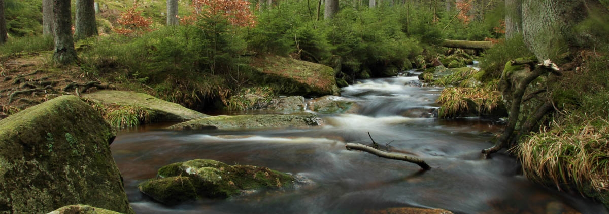 Fotokurs Langzeitbelichtung im Harz