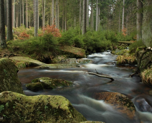 Fotokurs Langzeitbelichtung im Harz