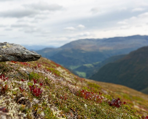 Fotoreise Norwegen - Hochgebirge
