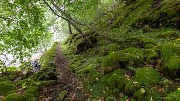 Fotoreise Norwegen - Kongelige Postvei