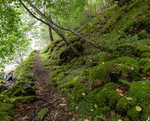 Fotoreise Norwegen - Kongelige Postvei Fotoreise Norwegen - Kongelige Postvei