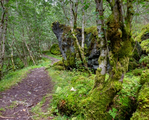 Fotoreise Norwegen - Kongelige Postvei Fotoreise Norwegen - Kongelige Postvei