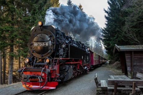 Foto-Wanderung auf dem Südharzer Dampflok Steig