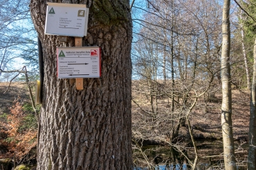 Foto-Wanderung auf dem Südharzer Dampflok Steig