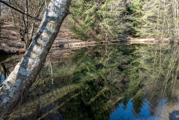 Foto-Wanderung auf dem Südharzer Dampflok Steig