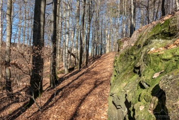Foto-Wanderung auf dem Südharzer Dampflok Steig