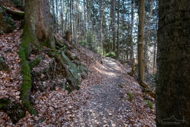 Foto-Wanderung auf dem Südharzer Dampflok Steig