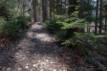 Foto-Wanderung auf dem Südharzer Dampflok Steig
