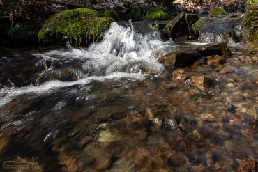 Foto-Wanderung auf dem Südharzer Dampflok Steig