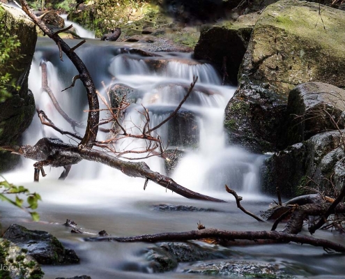 Fotokurs Langzeitbelichtung im Harz Fotokurs Langzeitbelichtung im Harz