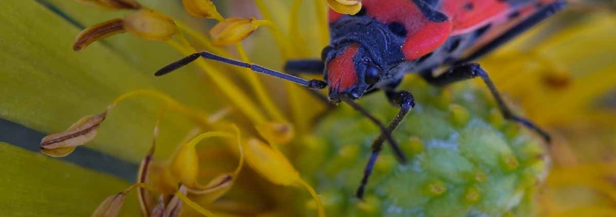 Fotokurs-Wochenende auf dem Karstwanderweg im Südharz © Rosalia und Manfred W