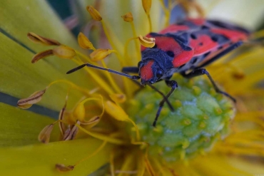 Fotokurs-Wochenende auf dem Karstwanderweg im Südharz © Rosalia und Manfred W