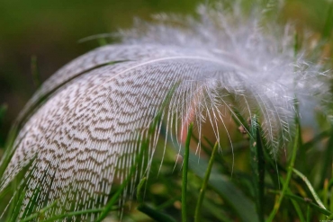Fotokurs-Wochenende auf dem Karstwanderweg im Südharz © Rosalia und Manfred W