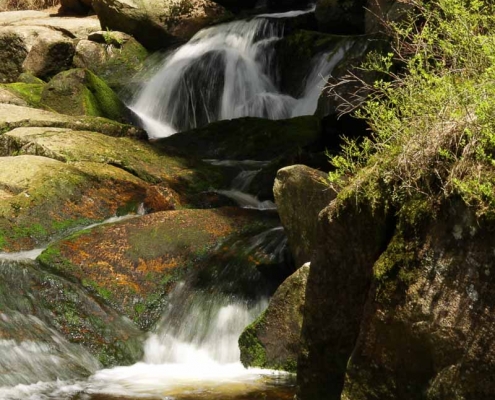 Fotokurs Langzeitbelichtungen im Harz © Alexander P.