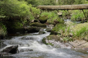 FotFotokurs Langzeitbelichtungen im Harz © Alexander P.