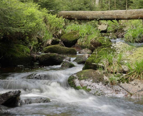 FotFotokurs Langzeitbelichtungen im Harz © Alexander P.
