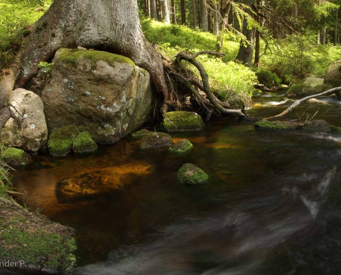 Fotokurs Langzeitbelichtungen im Harz © Alexander P.